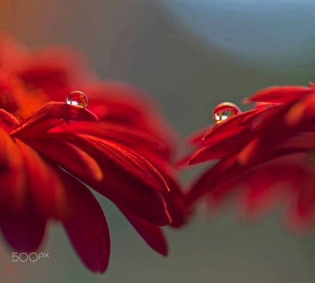 479712_10153484946231313_5522292943159017763_n