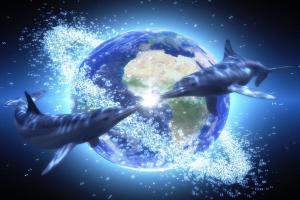 6f0fd-gaia2bcon2bcirculo2bde2b22bdelfines