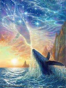 13501966_10209556736425477_4823309528940437538_n