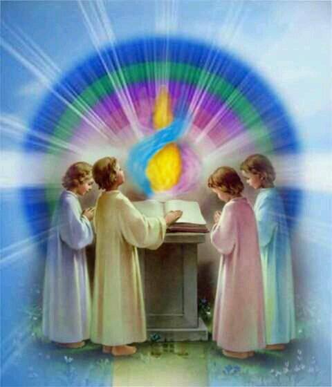 27972630_1335041699935405_302395225910285917_n