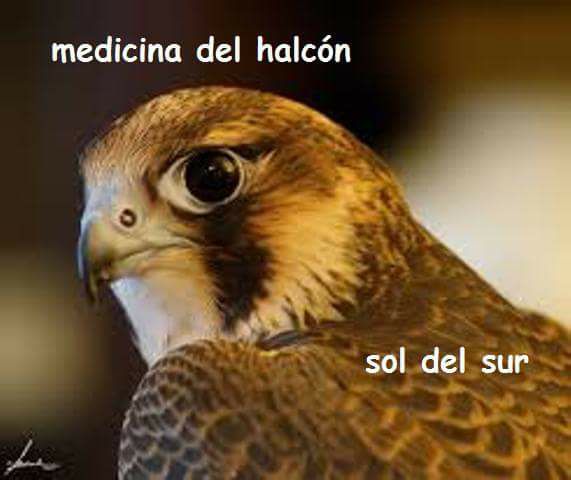 17630056_10212383765212305_1516665648980272089_n