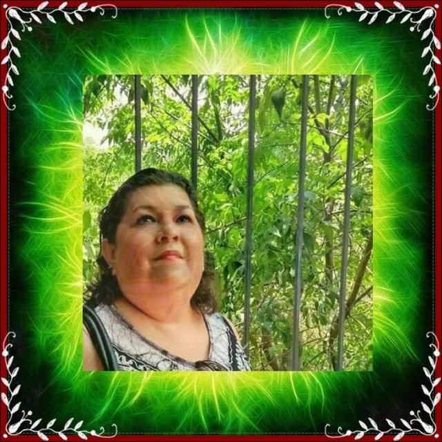 onstellar_dfe11f5b350ea9face9644019c0c5636