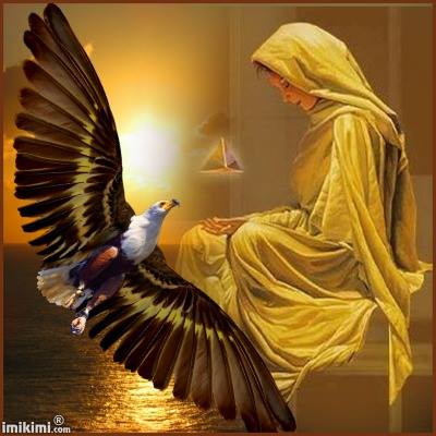 50276756_1605783346191649_7344410581719318528_n