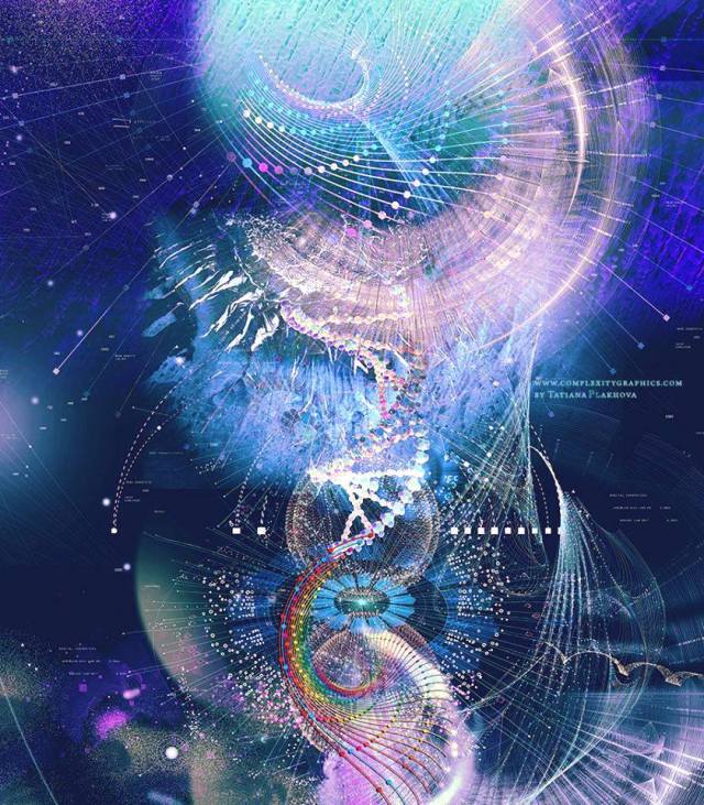 50309682_2516669938375678_6147929557451145216_n