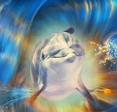 13244728_1769254546694745_5868645178426581199_n (1)