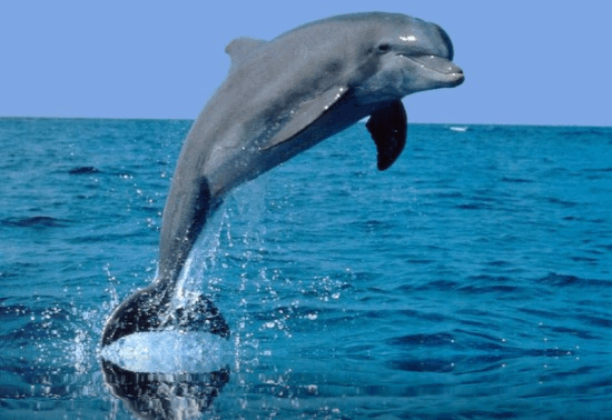 360760fe2d9d38c51fa96dcecfa625e3