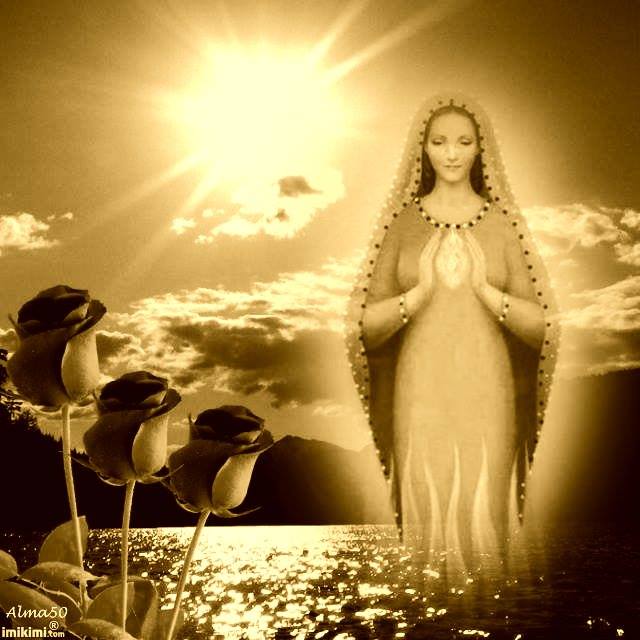 52902829_1663735847063065_211667284110868480_n