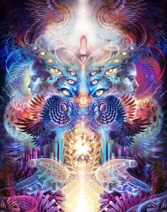 57574607_10156524831542261_7093705815869095936_n