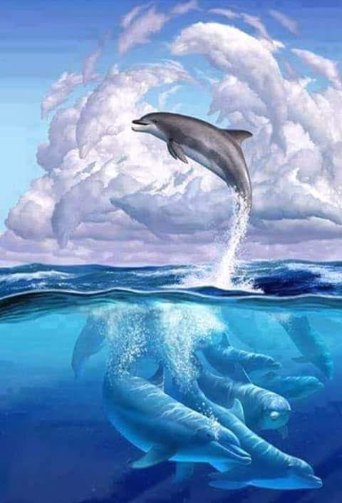 58443626_220312398924529_2519990027052646400_n